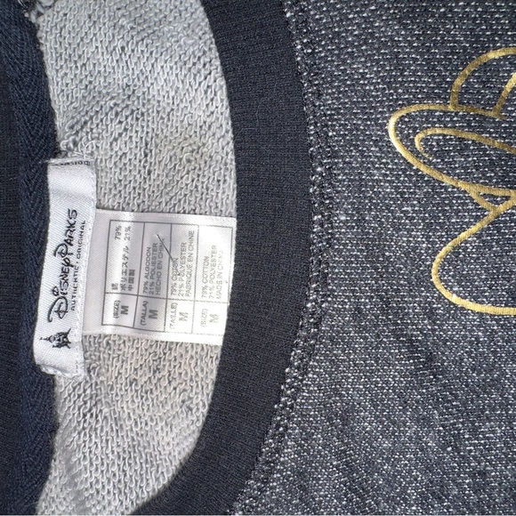 Disney Parks- Minnie Mouse Graphic Burnout thin Sweatshirt, Sz M​ - Picture 8 of 11